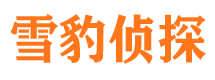 雅安捉小三公司